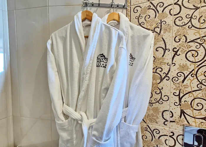 Nemo President Penthouse Odesa Odesa